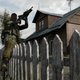 Image for article titled ArmA II Pushed Up A Week